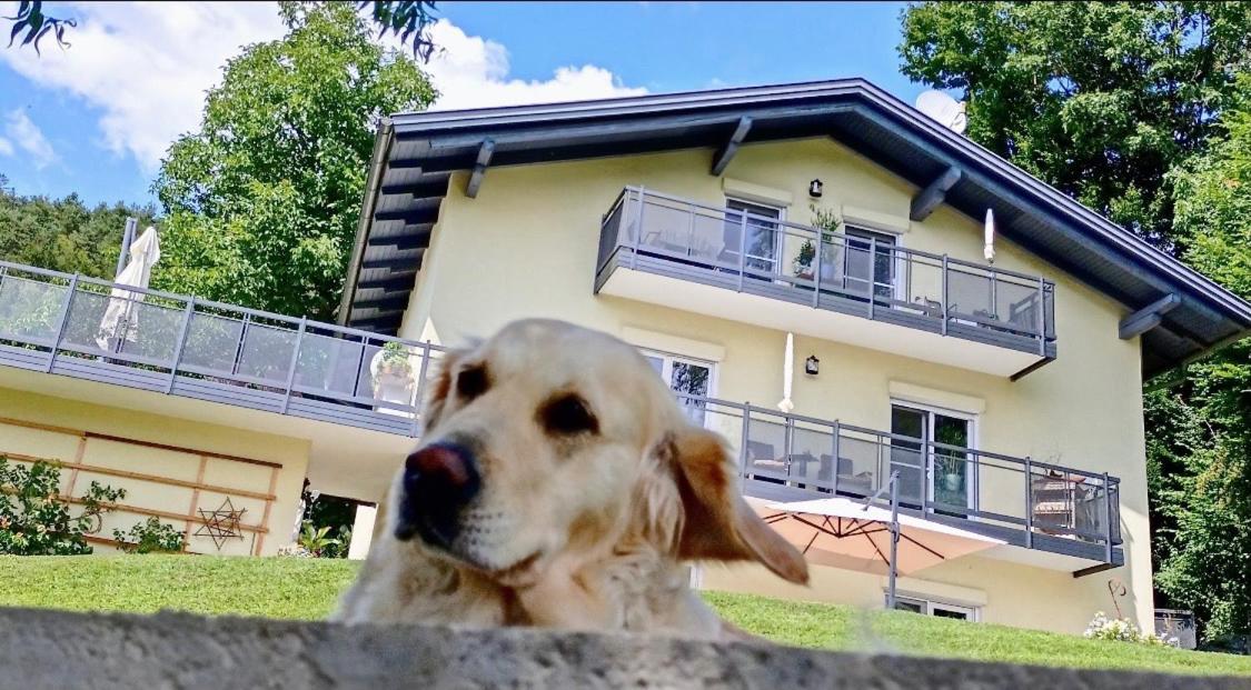 Appartamento Schwalbennest Velden Velden am Wörthersee Esterno foto